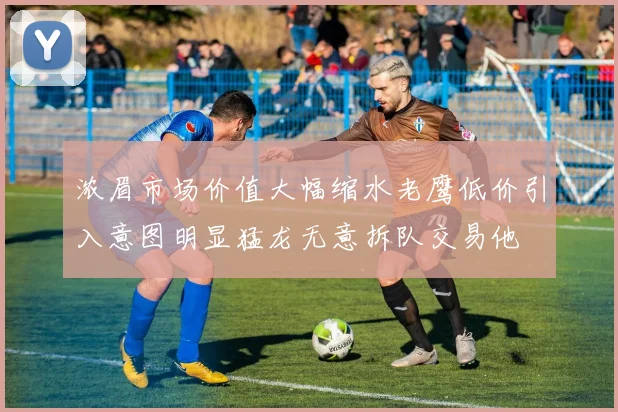 浓眉市场价值大幅缩水老鹰低价引入意图明显猛龙无意拆队交易他